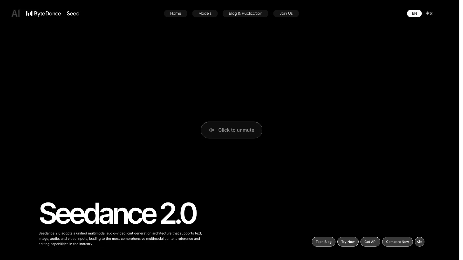 Seedance 2.0 official page